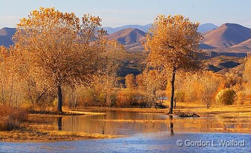 Bosque del Apache_72691.jpg - Photographed in the Bosque del Apache National Wildlife Refuge near San Antonio, New Mexico USA. 